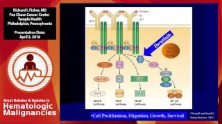 Debate How should patients with ABC type DLBCL be treated today  RCHOP [upl. by Brynn]