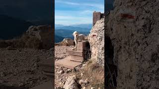 DexTours im Rosengarten Auf 4 Pfoten Entdeckungsreise in den Dolomiten rosengarten eggental [upl. by Duwe146]