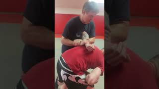 Hammerlock  Painful Catch Wrestling Move shorts martialarts [upl. by Ylek]