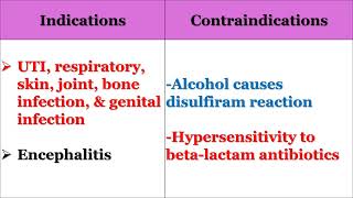 Antiinfective Agents Part I Nursing Pharmacology [upl. by Icyaj275]