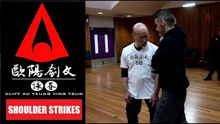 SIFU CLIFF AU YEUNG  WING CHUN SHOUDER STRIKES [upl. by Rania]