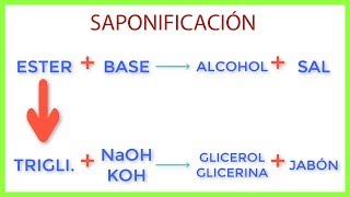 Proceso de obtención de jabón por saponificación [upl. by Aivilys]