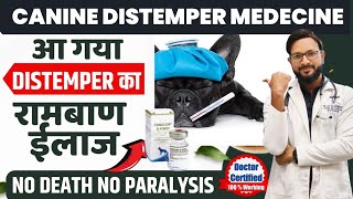 Canine Distemper Treatment In Dogs  Symptoms  Recovery Dog Distemper Treatment At Home [upl. by Laon972]