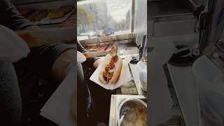 Best Hot Dogs in NYC hotdog hotdogs streetfood nyhotdogking [upl. by Hsinam]