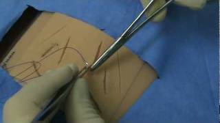 Simple Interrupted Suturing Technique Tulane Medicine [upl. by Merc]