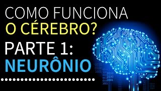 Como funciona o cérebro  Parte 1 Neurônios  PEDRO CALABREZ  NeuroVox 009 [upl. by Ithaman]