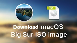 How to Download mac OS Big Sur ISO File from Apple [upl. by Bierman]