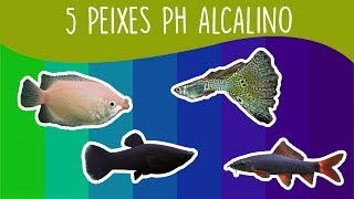 5 Peixes para aquário de PH ALCALINO [upl. by Azral]