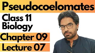 Pseudocoelomates  Class 11 Biology chapter 9  Lecture 07 [upl. by Nira]