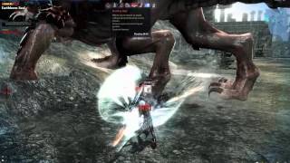 Vindictus Siglint solo Lann Twin Spears [upl. by Silvio]