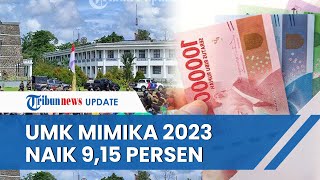 UMK Kabupaten Mimika 2023 Naik 915 Persen Selisih Rp 370 Ribu Menjadi Rp 4 423 605 [upl. by Weslee]