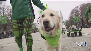 St Patricks Day parade takes over downtown Chicago [upl. by Ebarta]