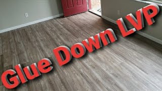 Glue Down LVP Flooring Installation [upl. by Rice623]