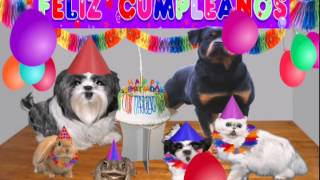 ♫♫♥ Dedicatoria de cumpleaños Video chistoso video gracioso ♥♫ [upl. by Cherri]