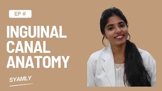 Inguinal canal anatomy [upl. by Ellirehs]