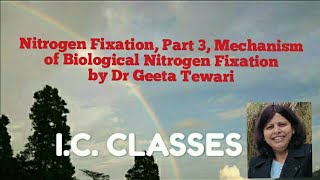 Bioinorganic Chemistry Part 7 Nitrogen fixation part 3 Mechanism of Nitrogen Fixation by Dr Geeta [upl. by Nivlad]