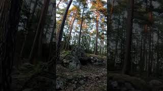 Herrsjön in Jursla Gammeskog Highlights Great Nature scenes Part 2 [upl. by Wolfson]