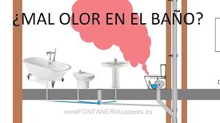 Mal olor en el baño  De donde viene y como evitar el mal olor en casa [upl. by Nyleak448]