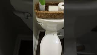 How to flush an American Standard Toilet [upl. by Falzetta]