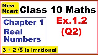 Class 10 Maths  Ex12 Q2  Chapter 1  Real Numbers  New NCERT [upl. by Terry]