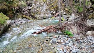 June 172024 Ladder Creek Falls amp Gorge Power House WA USA [upl. by Argella]