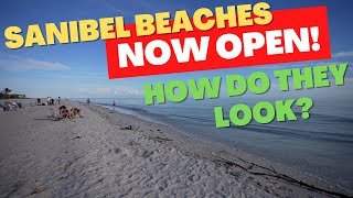 Sanibel Beaches Open To The Public How Do They Look [upl. by Solram]