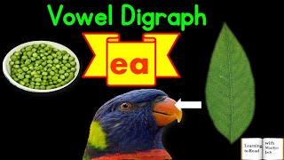 Vowel Digraph ea fourletter words [upl. by Alegnave]