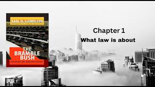 Chapter 1 What law is about [upl. by Epoh]