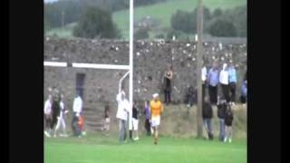 South Tipperary Hurling Final 2010 Carrick Swans v Killenaule [upl. by Tymes]