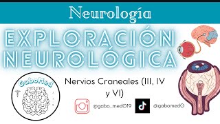 Exploración Neurológica  Nervios Craneales III IV Y VI [upl. by Mehsah]