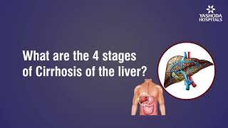 What are the 4 stages of Cirrhosis of the liver [upl. by Brozak489]