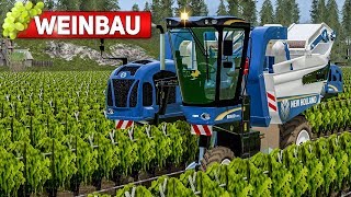 LS17 WEINBAU 3 Lese mit den New Holland Vollernter  Landwirtschafts Simulator 2017 [upl. by Junina]