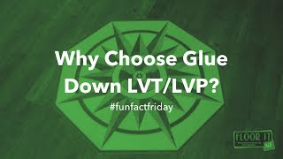 Why Choose Glue Down LVPLVT [upl. by Coppins]