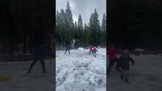 Snow fight Best place to visit ☃️ yosemite snow [upl. by Ricarda]