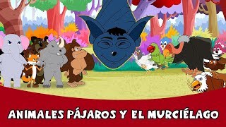 Animales Pájaros Y El Murciélago  Cuentos Infantiles Cuentos de Hadas Cuentos para Dormir [upl. by Eisle]