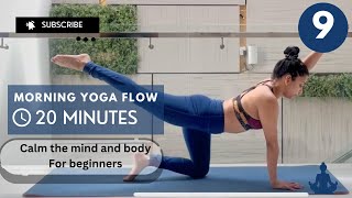 20min beginner vinyasa yoga flow Full body Day 9 morningyoga yogaseries yogaforbeginners [upl. by Aba151]