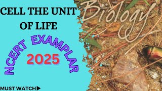 cell the unit of life class 11 NCERT EXAMPLAR [upl. by Baniaz260]