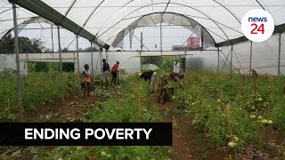 WATCH  Passion for planting Joburg inner city farmers quest to alleviate poverty in her community [upl. by Darya]