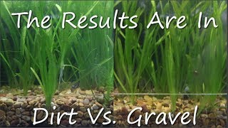 Dirt Vs Gravel Planters Results [upl. by Isborne]