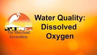 Water Quality Dissolved Oxygen [upl. by Alexia]