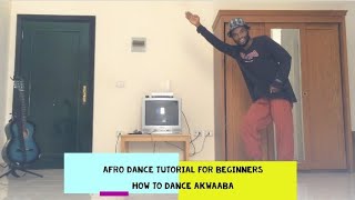 How to dance  Akwaaba  Afro dance tutorial for beginners [upl. by Ellerud]