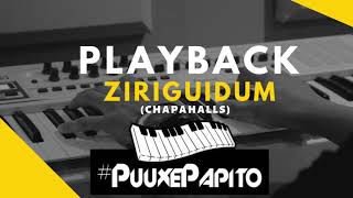 Playback ziriguidumchapahalls [upl. by Atrice]