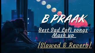 B Praak Sad Song [upl. by Kulseth774]