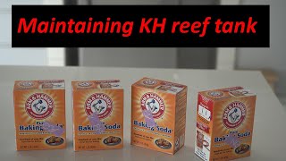 Dosing Kh in reef tank using Soda powder or Soda ash [upl. by Swisher]