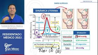 Obstetricia Parto eutócio  RM 2023 [upl. by Attaymik394]