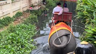 Elephant Ride in Chang Puak Camp Damnoen Saduak Thailand [upl. by Adaynek]