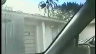 Funny Video  Kid Smears Bird Poop on Dads Windshield [upl. by Intruoc]