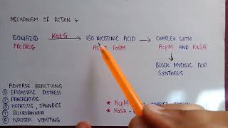 Mechanism of action of isoniazid  adverse reaction of isoniazid  isoniazid antitubercular drugs [upl. by Zurek232]