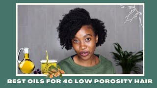 Best Oils for Low Porosity Hair lowporosity [upl. by Apfelstadt899]