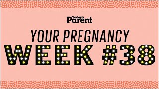 Your pregnancy 38 weeks [upl. by Frannie]